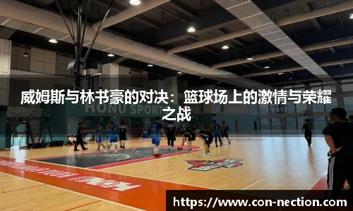 威姆斯与林书豪的对决：篮球场上的激情与荣耀之战